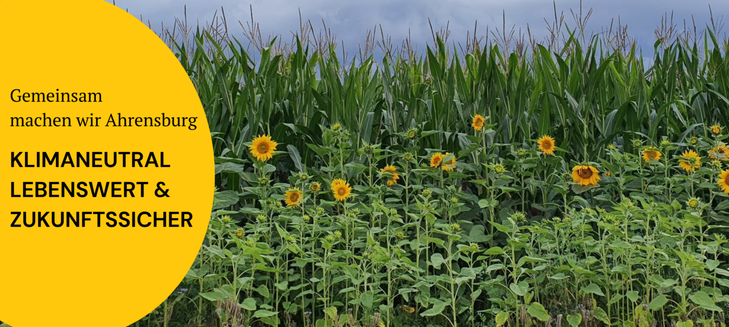 Startseiten Bild_3000